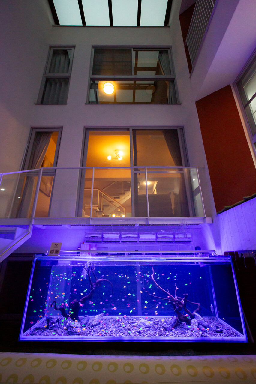 togetherness-nest-in-ali-homestay-villa-Gallery (9)